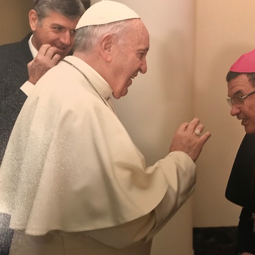 27 f&eacute;vrier 2018 - Rencontre avec le Pape
